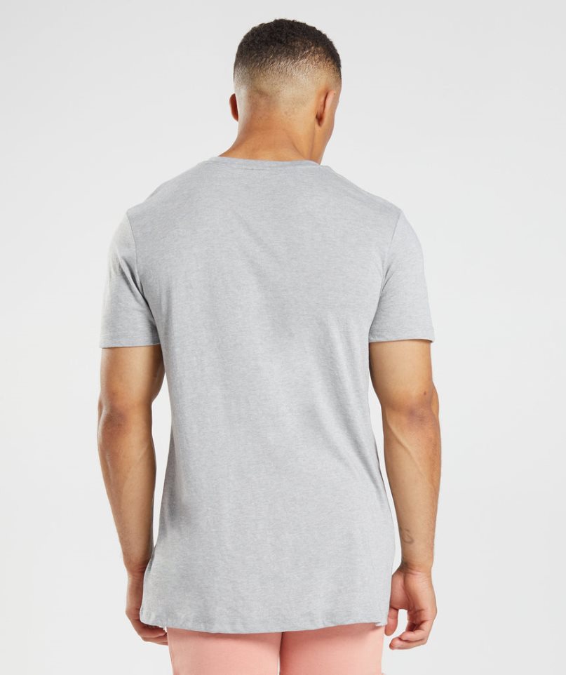 Men's Gymshark Legacy T-Shirts Light Grey | NZ 5WGJDR